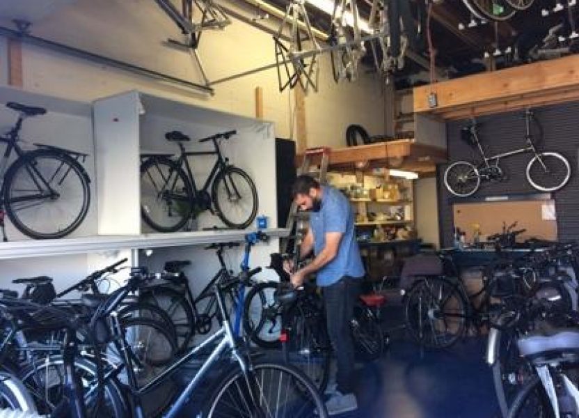 Overview of Pedal Easy models