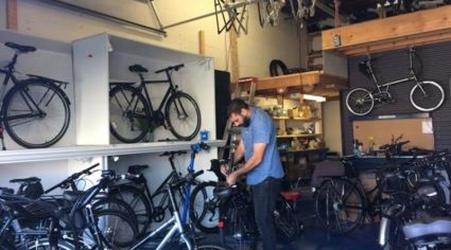 Overview of Pedal Easy models